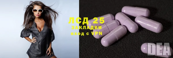 мдпв Богородицк