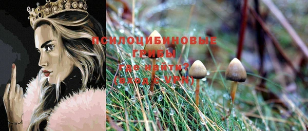 mix Богородск