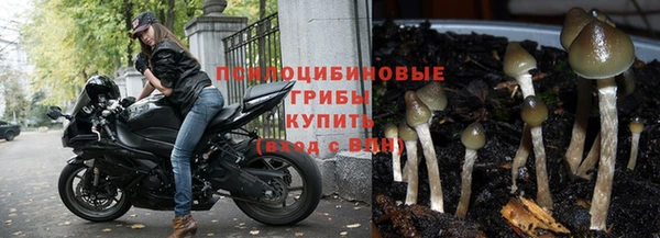 бутик Бородино